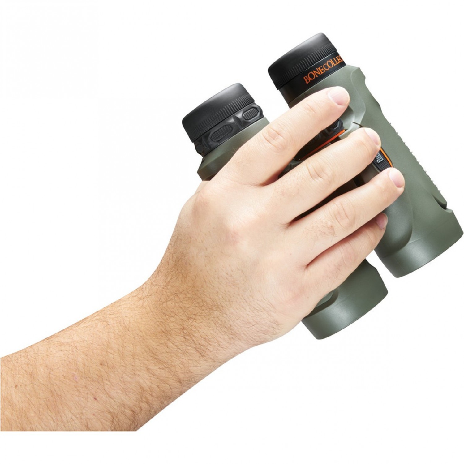Bushnell binoculars sales 10x42 trophy